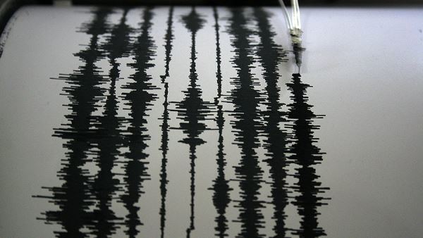 На Камчатке зарегистрировали землетрясение магнитудой 4,2 балла