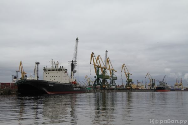 Новая схема доставки грузов из Азии в Петербург увеличила цены на морские перевозки