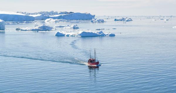В освоении Арктики должна быть экологическая ответственность