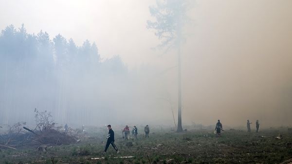 В Свердловской области заявили о стабилизации ситуации с лесными пожарами