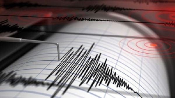 Землетрясение произошло в районе вулкана Шивелуч на Камчатке<br />
