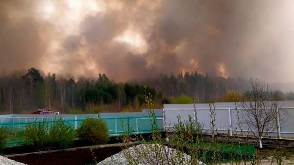Общая площадь пожаров в Свердловской области составила 20 тыс. га