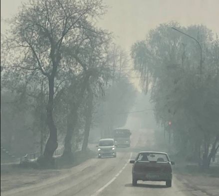 Природные парки в Свердловской области закроют из-за пожаров