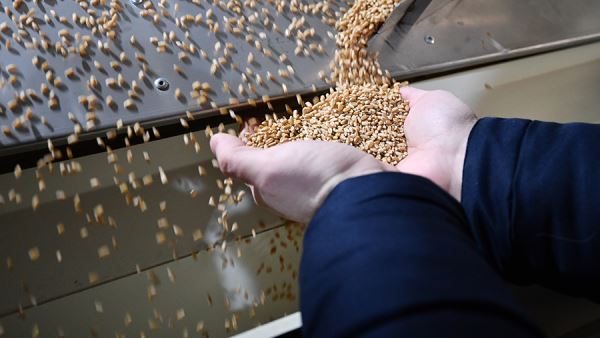 В посольстве РФ обвинили Запад в создании помех зерновой сделке<br />
